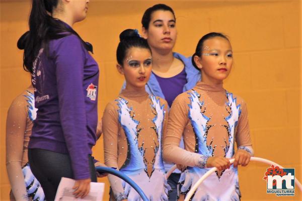 Campeonato Provincial Deporte Edad Escolar de Gimnasia Ritmica-2018-05-13-Fuente imagen Area de Deportes Ayuntamiento Miguelturra-059