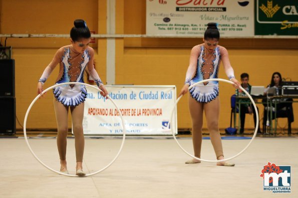 Campeonato Provincial Deporte Edad Escolar de Gimnasia Ritmica-2018-05-13-Fuente imagen Area de Deportes Ayuntamiento Miguelturra-063