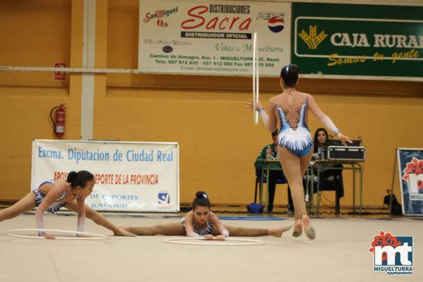 Campeonato Provincial Deporte Edad Escolar de Gimnasia Ritmica-2018-05-13-Fuente imagen Area de Deportes Ayuntamiento Miguelturra-065