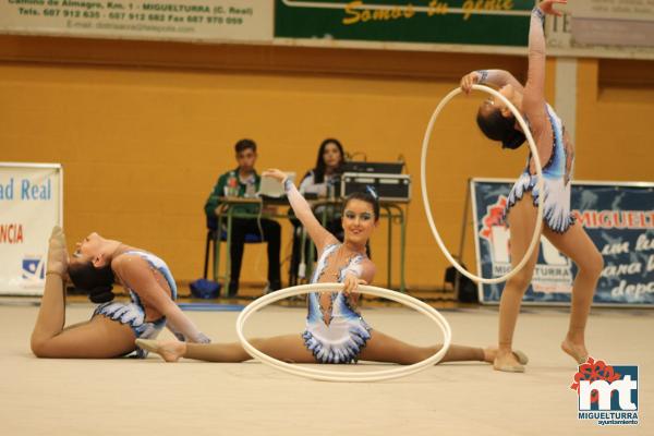 Campeonato Provincial Deporte Edad Escolar de Gimnasia Ritmica-2018-05-13-Fuente imagen Area de Deportes Ayuntamiento Miguelturra-066