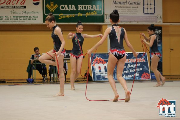 Campeonato Provincial Deporte Edad Escolar de Gimnasia Ritmica-2018-05-13-Fuente imagen Area de Deportes Ayuntamiento Miguelturra-073