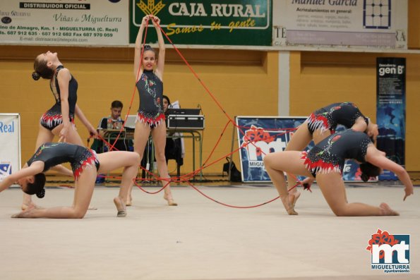 Campeonato Provincial Deporte Edad Escolar de Gimnasia Ritmica-2018-05-13-Fuente imagen Area de Deportes Ayuntamiento Miguelturra-077