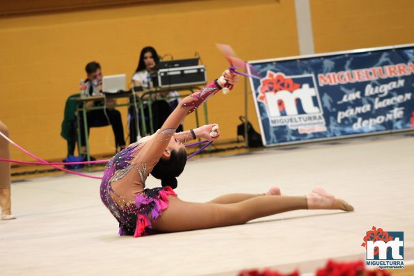 Campeonato Provincial Deporte Edad Escolar de Gimnasia Ritmica-2018-05-13-Fuente imagen Area de Deportes Ayuntamiento Miguelturra-086