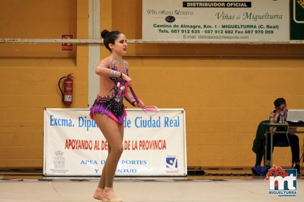 Campeonato Provincial Deporte Edad Escolar de Gimnasia Ritmica-2018-05-13-Fuente imagen Area de Deportes Ayuntamiento Miguelturra-087