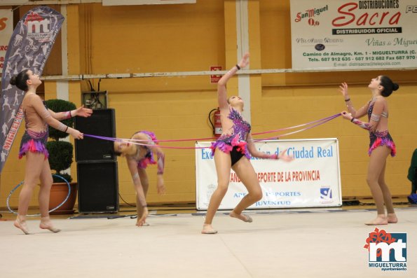 Campeonato Provincial Deporte Edad Escolar de Gimnasia Ritmica-2018-05-13-Fuente imagen Area de Deportes Ayuntamiento Miguelturra-089