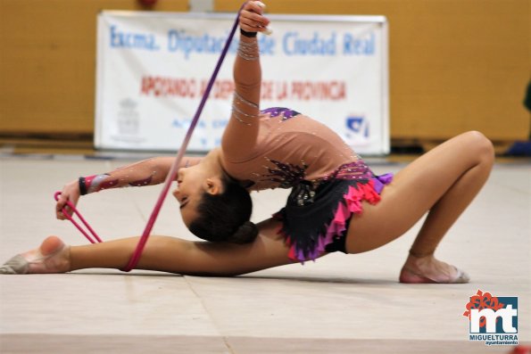 Campeonato Provincial Deporte Edad Escolar de Gimnasia Ritmica-2018-05-13-Fuente imagen Area de Deportes Ayuntamiento Miguelturra-090