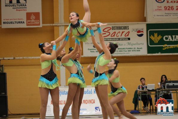 Campeonato Provincial Deporte Edad Escolar de Gimnasia Ritmica-2018-05-13-Fuente imagen Area de Deportes Ayuntamiento Miguelturra-096