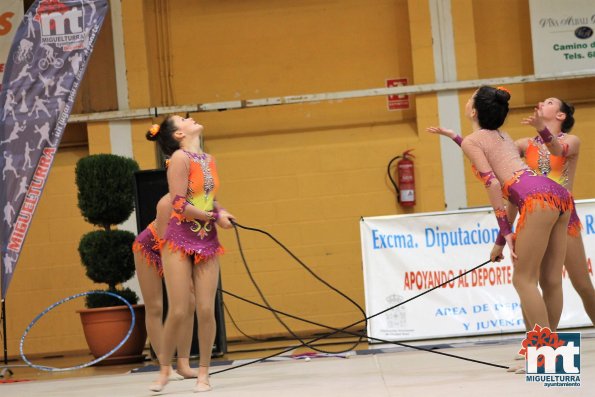 Campeonato Provincial Deporte Edad Escolar de Gimnasia Ritmica-2018-05-13-Fuente imagen Area de Deportes Ayuntamiento Miguelturra-103