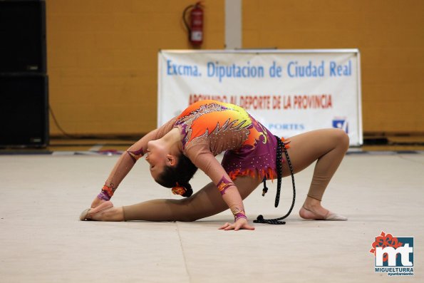 Campeonato Provincial Deporte Edad Escolar de Gimnasia Ritmica-2018-05-13-Fuente imagen Area de Deportes Ayuntamiento Miguelturra-108