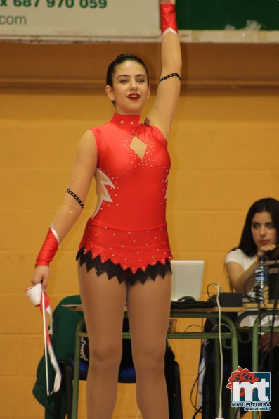 Campeonato Provincial Deporte Edad Escolar de Gimnasia Ritmica-2018-05-13-Fuente imagen Area de Deportes Ayuntamiento Miguelturra-109