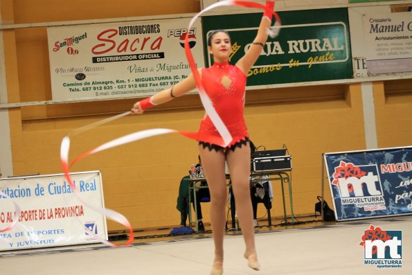 Campeonato Provincial Deporte Edad Escolar de Gimnasia Ritmica-2018-05-13-Fuente imagen Area de Deportes Ayuntamiento Miguelturra-110