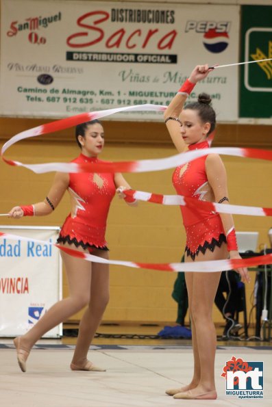 Campeonato Provincial Deporte Edad Escolar de Gimnasia Ritmica-2018-05-13-Fuente imagen Area de Deportes Ayuntamiento Miguelturra-112