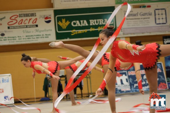 Campeonato Provincial Deporte Edad Escolar de Gimnasia Ritmica-2018-05-13-Fuente imagen Area de Deportes Ayuntamiento Miguelturra-113