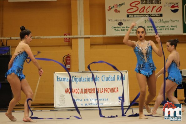 Campeonato Provincial Deporte Edad Escolar de Gimnasia Ritmica-2018-05-13-Fuente imagen Area de Deportes Ayuntamiento Miguelturra-123