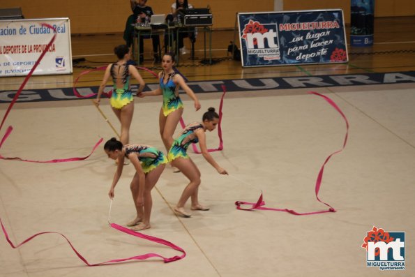 Campeonato Provincial Deporte Edad Escolar de Gimnasia Ritmica-2018-05-13-Fuente imagen Area de Deportes Ayuntamiento Miguelturra-126