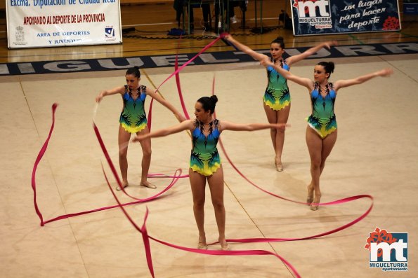 Campeonato Provincial Deporte Edad Escolar de Gimnasia Ritmica-2018-05-13-Fuente imagen Area de Deportes Ayuntamiento Miguelturra-128