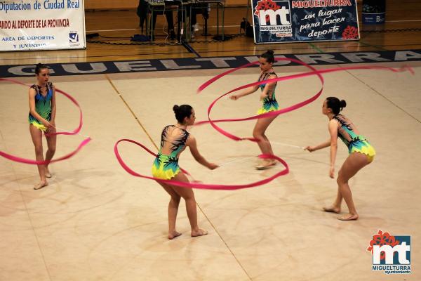 Campeonato Provincial Deporte Edad Escolar de Gimnasia Ritmica-2018-05-13-Fuente imagen Area de Deportes Ayuntamiento Miguelturra-131