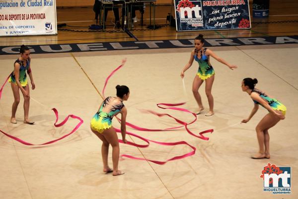 Campeonato Provincial Deporte Edad Escolar de Gimnasia Ritmica-2018-05-13-Fuente imagen Area de Deportes Ayuntamiento Miguelturra-132