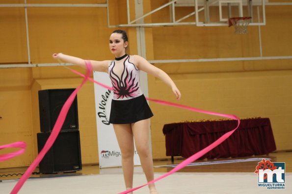 Campeonato Provincial Deporte Edad Escolar de Gimnasia Ritmica-2018-05-13-Fuente imagen Area de Deportes Ayuntamiento Miguelturra-133