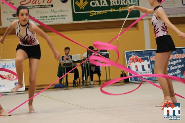 Campeonato Provincial Deporte Edad Escolar de Gimnasia Ritmica-2018-05-13-Fuente imagen Area de Deportes Ayuntamiento Miguelturra-134