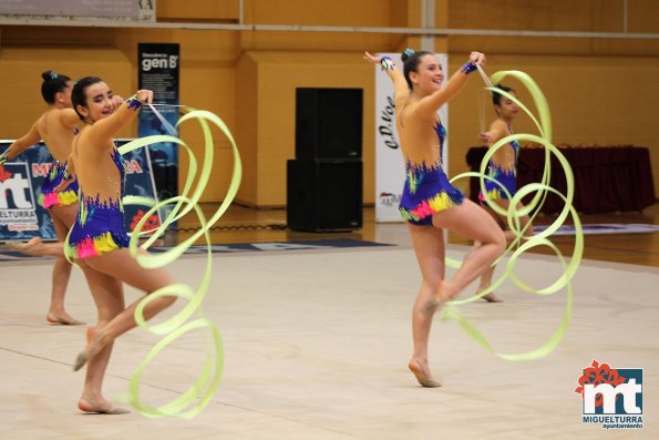 Campeonato Provincial Deporte Edad Escolar de Gimnasia Ritmica-2018-05-13-Fuente imagen Area de Deportes Ayuntamiento Miguelturra-136