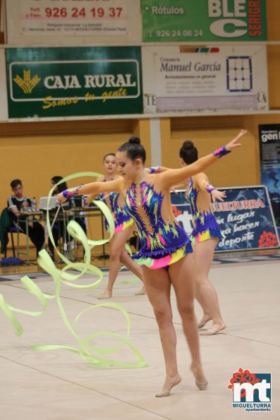 Campeonato Provincial Deporte Edad Escolar de Gimnasia Ritmica-2018-05-13-Fuente imagen Area de Deportes Ayuntamiento Miguelturra-139