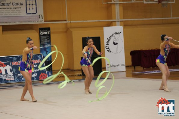 Campeonato Provincial Deporte Edad Escolar de Gimnasia Ritmica-2018-05-13-Fuente imagen Area de Deportes Ayuntamiento Miguelturra-142