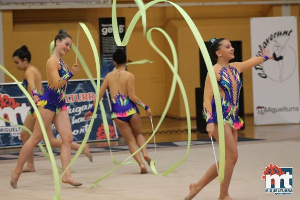 Campeonato Provincial Deporte Edad Escolar de Gimnasia Ritmica-2018-05-13-Fuente imagen Area de Deportes Ayuntamiento Miguelturra-144