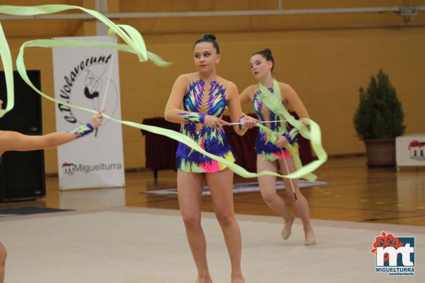 Campeonato Provincial Deporte Edad Escolar de Gimnasia Ritmica-2018-05-13-Fuente imagen Area de Deportes Ayuntamiento Miguelturra-146