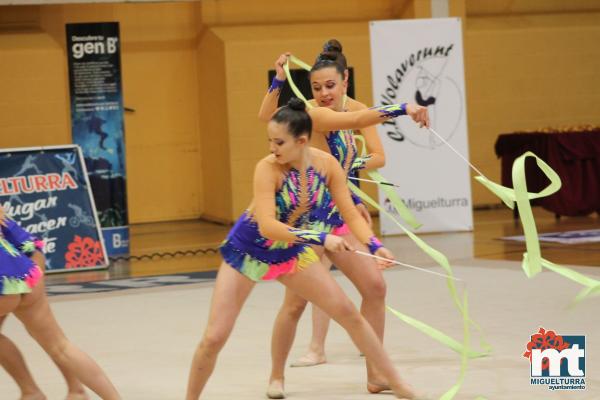 Campeonato Provincial Deporte Edad Escolar de Gimnasia Ritmica-2018-05-13-Fuente imagen Area de Deportes Ayuntamiento Miguelturra-147