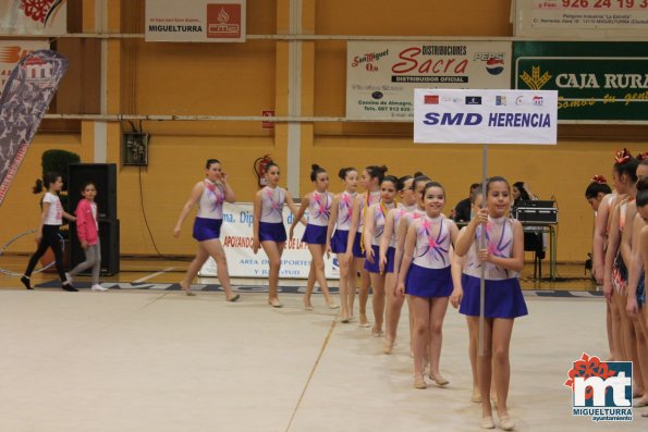 Campeonato Provincial Deporte Edad Escolar de Gimnasia Ritmica-2018-05-13-Fuente imagen Area de Deportes Ayuntamiento Miguelturra-164