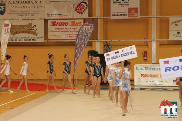 Campeonato Provincial Deporte Edad Escolar de Gimnasia Ritmica-2018-05-13-Fuente imagen Area de Deportes Ayuntamiento Miguelturra-167