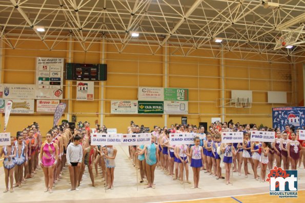 Campeonato Provincial Deporte Edad Escolar de Gimnasia Ritmica-2018-05-13-Fuente imagen Area de Deportes Ayuntamiento Miguelturra-169