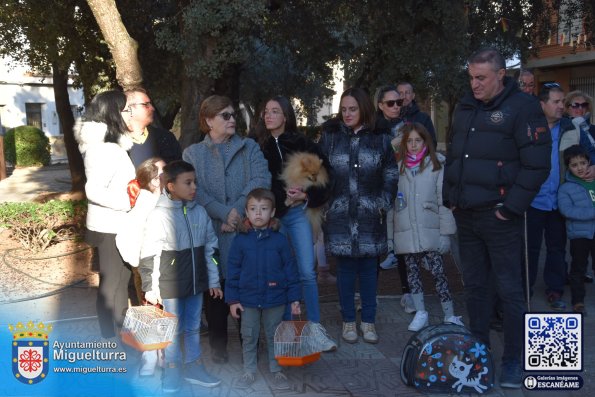 procesionsananton2025-Fuente imagen Area Comunicación Ayuntamiento de Miguelturra-004