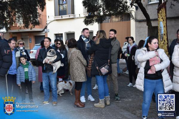 procesionsananton2025-Fuente imagen Area Comunicación Ayuntamiento de Miguelturra-005