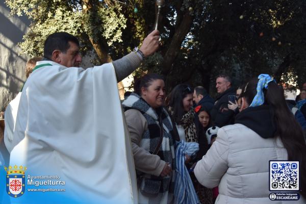 procesionsananton2025-Fuente imagen Area Comunicación Ayuntamiento de Miguelturra-010