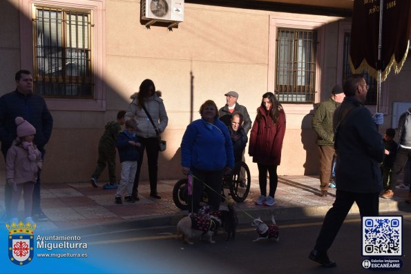 procesionsananton2025-Fuente imagen Area Comunicación Ayuntamiento de Miguelturra-015