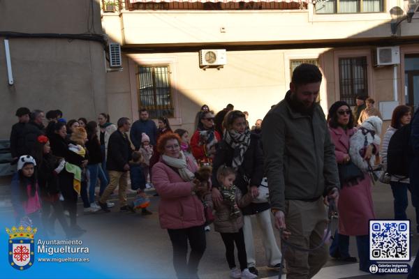 procesionsananton2025-Fuente imagen Area Comunicación Ayuntamiento de Miguelturra-017