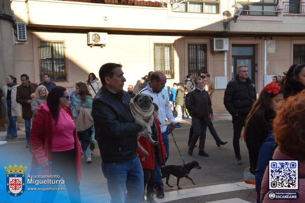 procesionsananton2025-Fuente imagen Area Comunicación Ayuntamiento de Miguelturra-020