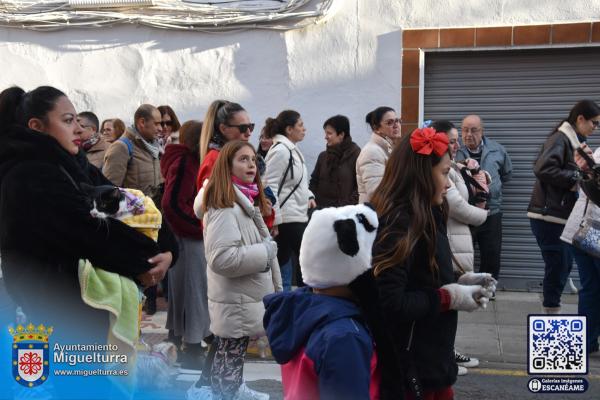 procesionsananton2025-Fuente imagen Area Comunicación Ayuntamiento de Miguelturra-021