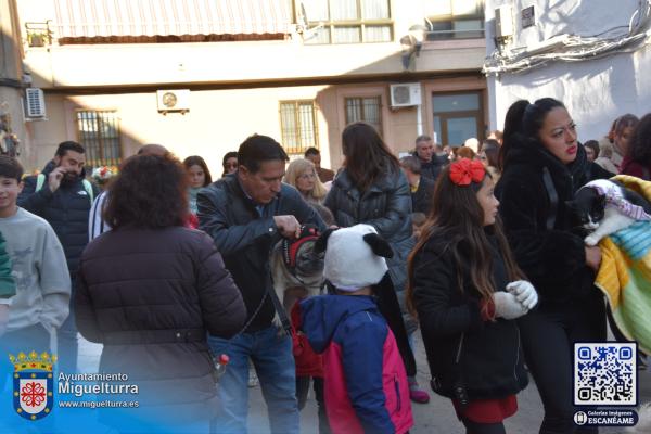 procesionsananton2025-Fuente imagen Area Comunicación Ayuntamiento de Miguelturra-026