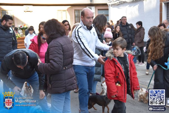 procesionsananton2025-Fuente imagen Area Comunicación Ayuntamiento de Miguelturra-027