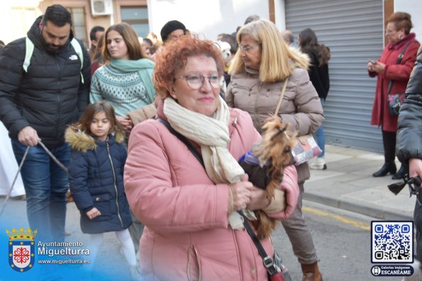 procesionsananton2025-Fuente imagen Area Comunicación Ayuntamiento de Miguelturra-030