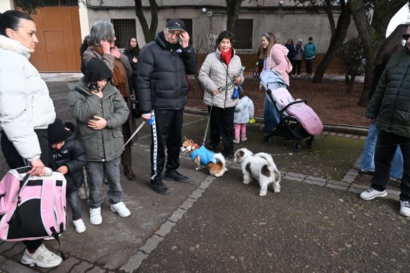 SanAnton-Miguelturra-Ene-2026-58