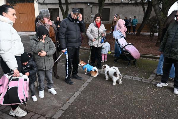 SanAnton-Miguelturra-Ene-2026-58