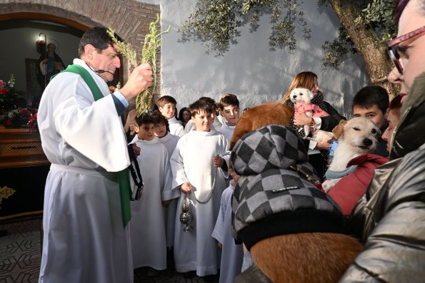 SanAnton-Miguelturra-Ene-2026-73