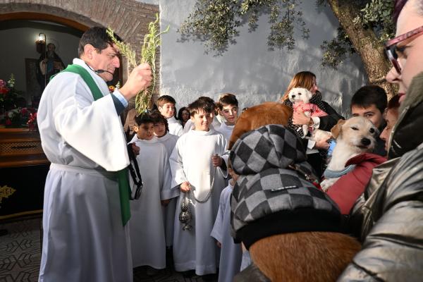 SanAnton-Miguelturra-Ene-2026-73