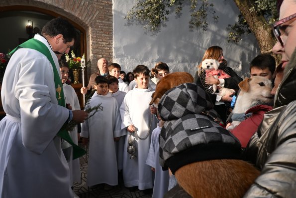 SanAnton-Miguelturra-Ene-2026-74