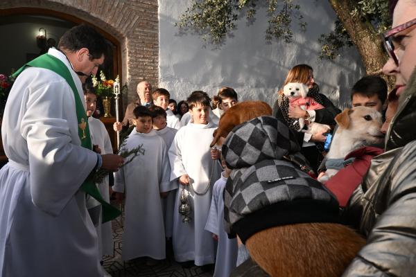 SanAnton-Miguelturra-Ene-2026-74