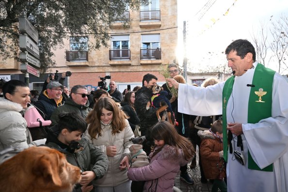 SanAnton-Miguelturra-Ene-2026-78